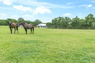 147 Fox Run Rd, Bowie, TX 76230 - Photo 22