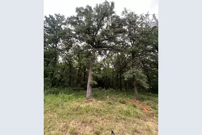 115 Inca Trail, Mabank, TX 75156 - Photo 1