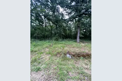 117 Inca Trail, Mabank, TX 75156 - Photo 8