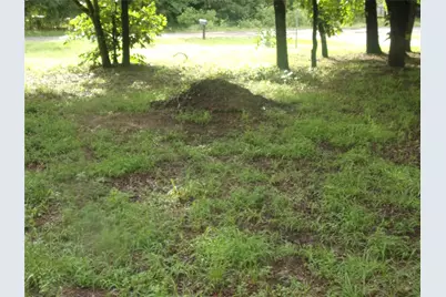 187 Holly Lane, Murchison, TX 75778 - Photo 8