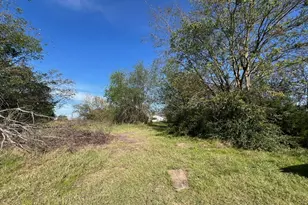 Tbd Farm Road 900 N, Saltillo, TX 75478 - Photo 6