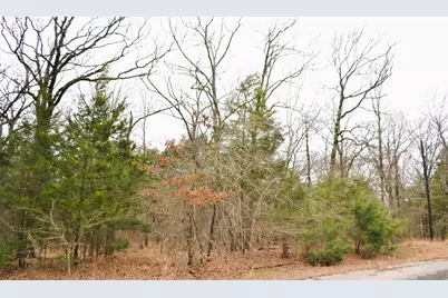 Lot 73 Rs County Road 3376, Emory, TX 75440 - Photo 10