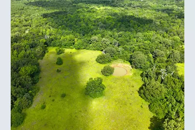 Tbd Fcr 280, Oakwood, TX 75855 - Photo 12