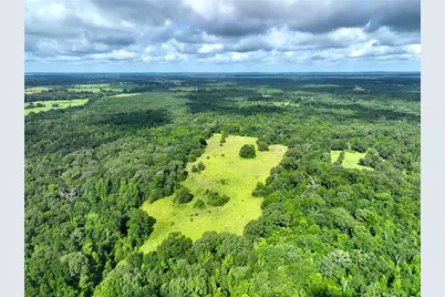 Tbd Fcr 280, Oakwood, TX 75855 - Photo 10