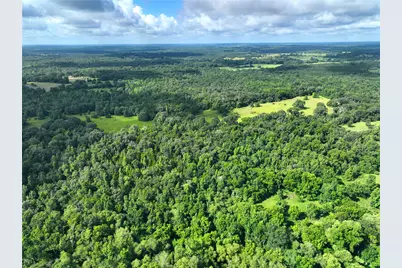 Tbd Fcr 280, Oakwood, TX 75855 - Photo 8