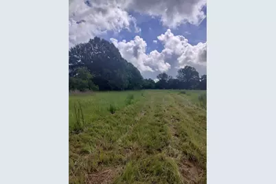 Tbd Fcr 280, Oakwood, TX 75855 - Photo 1