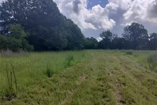 Tbd Fcr 280, Oakwood, TX 75855 - Photo 1