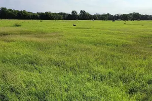 9931 Harmonson Rd, Northlake, TX 76247 - Photo 2