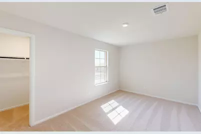 14159 Marion Downs Trail, Pilot Point, TX 76258 - Photo 12