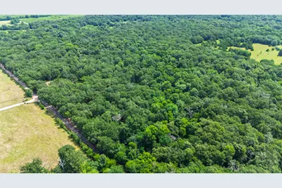 604 County Road 3561, Dike, TX 75437 - Photo 16