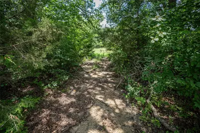 Tbd Cr-129 #5 Acres, Terrell, TX 75161 - Photo 2