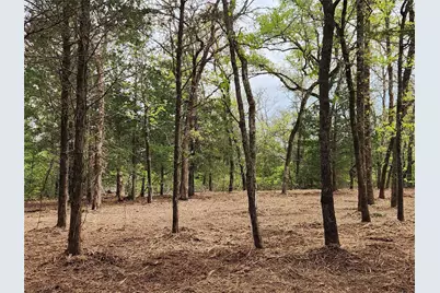 Lot 465 Cr-4710, LaRue, TX 75770 - Photo 1