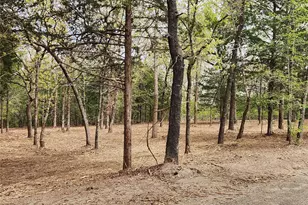 Lot 465 Cr-4710, LaRue, TX 75770 - Photo 16