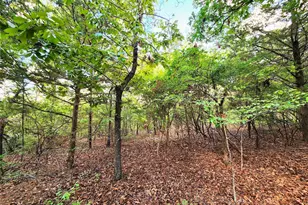 Lot 465 Cr-4710, LaRue, TX 75770 - Photo 18