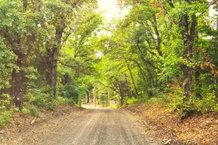 Lot 465 Cr-4710, LaRue, TX 75770 - Photo 2