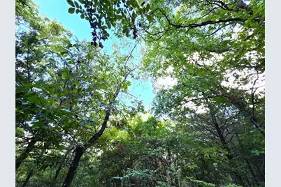 Lot 465 Cr-4710, LaRue, TX 75770 - Photo 12