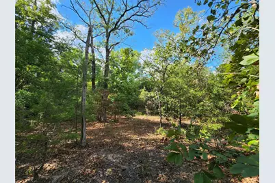 Lot 465 Cr-4710, LaRue, TX 75770 - Photo 24