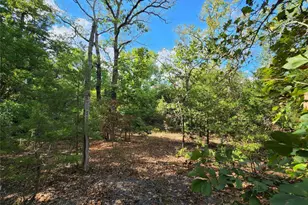 Lot 465 Cr-4710, LaRue, TX 75770 - Photo 24