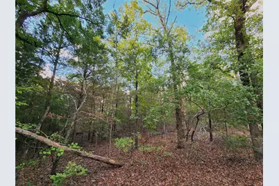 Lot 465 Cr-4710, LaRue, TX 75770 - Photo 6