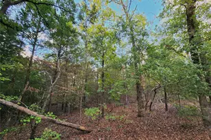 Lot 465 Cr-4710, LaRue, TX 75770 - Photo 6