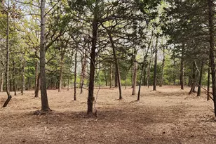 Lot 465 Cr-4710, LaRue, TX 75770 - Photo 4