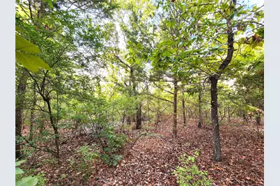 Lot 465 Cr-4710, LaRue, TX 75770 - Photo 10