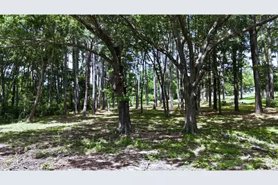 Lot 340 Grand View Drive, Athens, TX 75752 - Photo 6