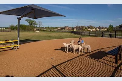 320 Bee Balm Road, McKinney, TX 75071 - Photo 36