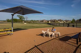 320 Bee Balm Rd, McKinney, TX 75071 - Photo 36