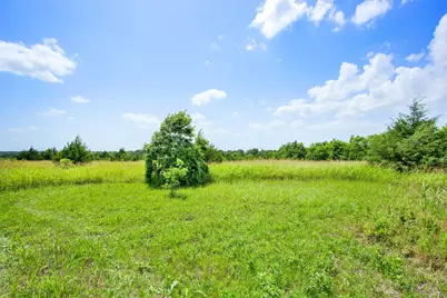 491 Morrison Road, Howe, TX 75459 - Photo 4