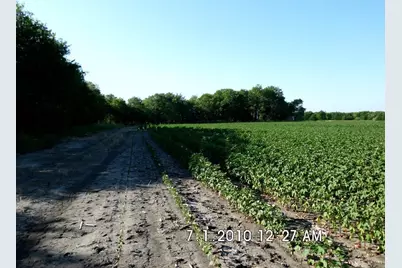 Tbd Fm 744, Malone, TX 76660 - Photo 6