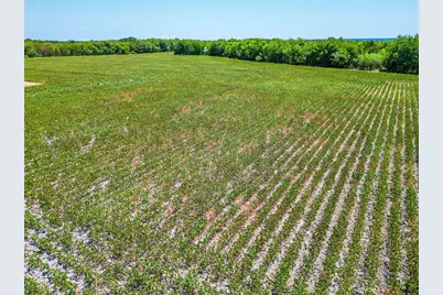 Tbd Fm 744, Malone, TX 76660 - Photo 38