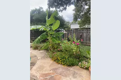 322 Willow Wood Street, Murphy, TX 75094 - Photo 28