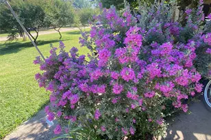 322 Willow Wood St, Murphy, TX 75094 - Photo 20