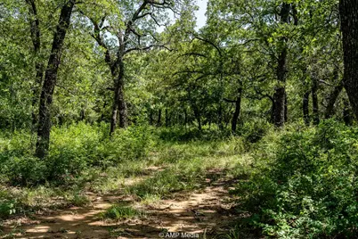 3641 Carpenter Road, Nocona, TX 76255 - Photo 10