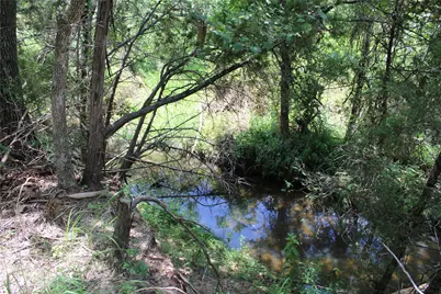 228 Private Road 2163, Iredell, TX 76649 - Photo 14