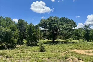 4009 County Rd 310, Cleburne, TX 76031 - Photo 4