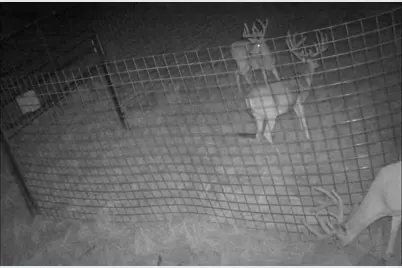 Tbd 40+/- Acres County Road 194, Ovalo, TX 79541 - Photo 14