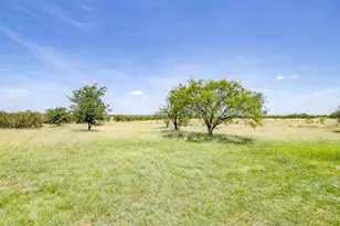 697 Lewis Rd, Graford, TX 76449 - Photo 30