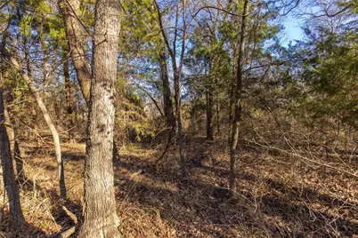 Lot 2 Wood Creek Drive, Greenville, TX 75453 - Photo 16