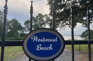 1005 Wood Canyon Rd, Tool, TX 75143 - Photo 8