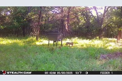 277 County Road 4461, Decatur, TX 76234 - Photo 20