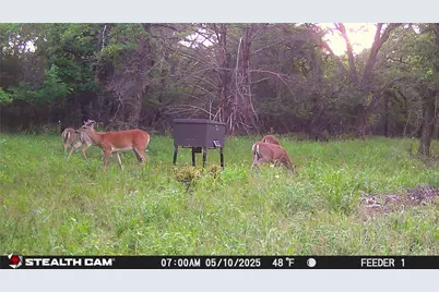 277 County Road 4461, Decatur, TX 76234 - Photo 18