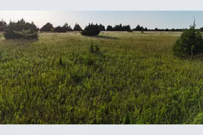 Tbd Cedar Ridge Court, Farmersville, TX 75442 - Photo 10