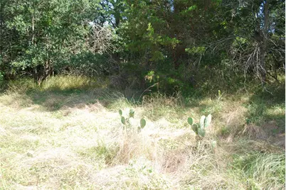 1306 Overlook Drive, Whitney, TX 76692 - Photo 10