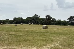 250 Vz County Road 2922, Athens, TX 75752 - Photo 28