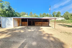9937 Co Rd 3250, Timpson, TX 75975 - Photo 10