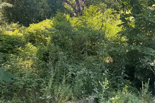 0 Ponderosa Dr, Eustace, TX 75124 - Photo 1