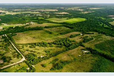 Tbd 84.61 Acres Tract 3 Cr 4640, Trenton, TX 75490 - Photo 4