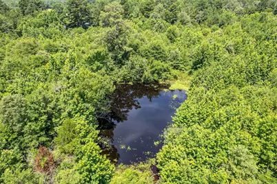 15688 US Highway 271, Tyler, TX 75708 - Photo 14